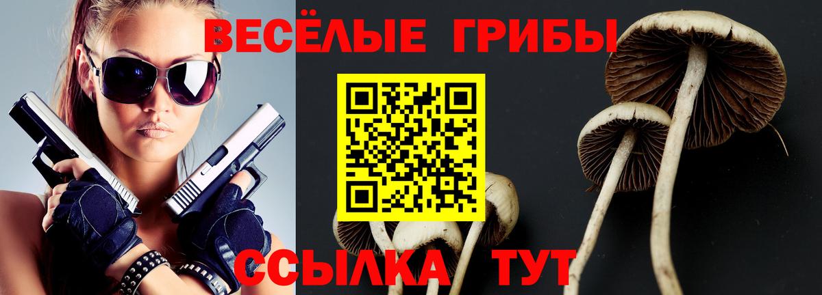 Галлюциногенные грибы ЛСД Сатка